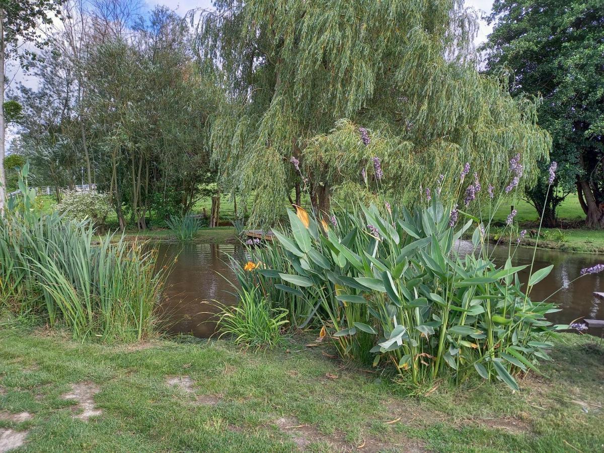 La Gasteboisiere With Swimming Pool And Games Room Le Mesnil-Adelee Exterior foto